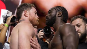 Canelo vs. Crawford Fight: What Time to Watch the Action Tonight on Netflix